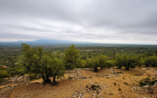 Finca amb bancals amb bones vistes (39)