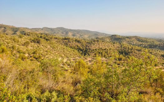 Gran finca en las montañas (27)