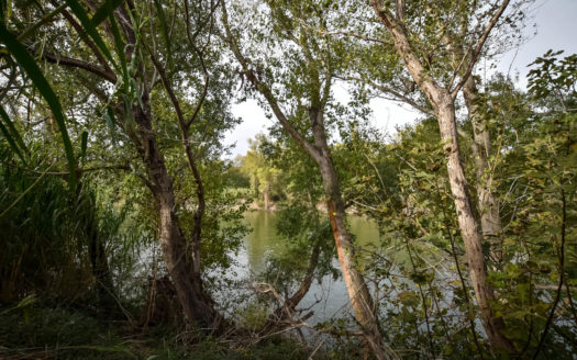 Masía al lado del río con luz y agua (123)