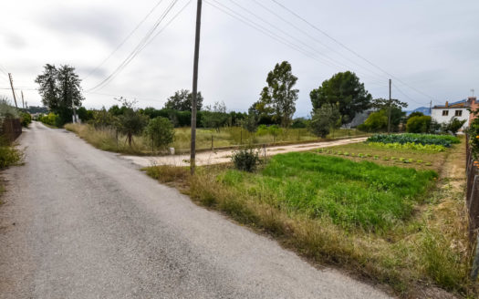 Riverside farmhouse near Tortosa (123)