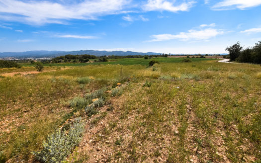 19 hectares land near Tortosa (200)