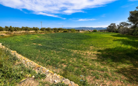 19 hectares land near Tortosa (200)