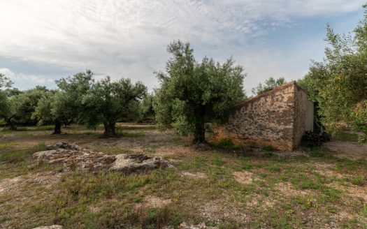 A rocky place near the mountains (377)