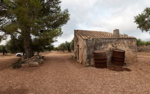 Accés, ubicació i aigua (405)