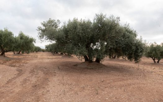 Accés, ubicació i aigua (405)