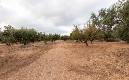 Accés, ubicació i aigua (405)