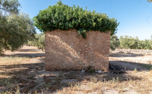 Una porció de vida (408)