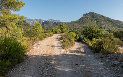 Olive plot with nice views (412)