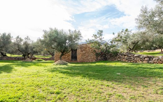 Bonita finca plana con agua (475)