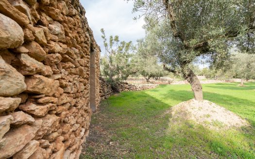 Bonita finca plana con agua (475)