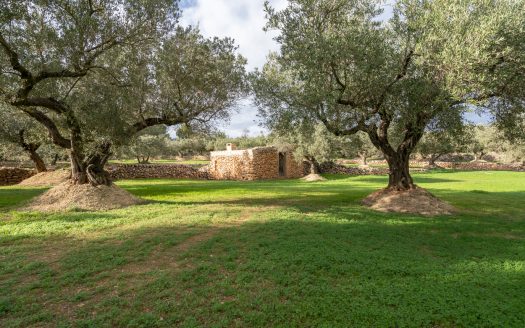 Bonita finca plana con agua (475)