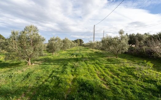 Bonita finca plana con agua (475)