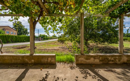 Finca de frutales cerca de Tortosa (553)