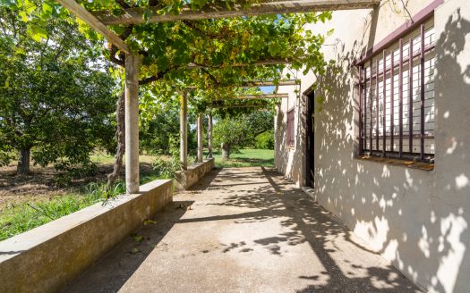 Finca de frutales cerca de Tortosa (553)