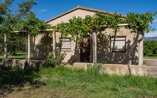 Finca de frutales cerca de Tortosa (553)