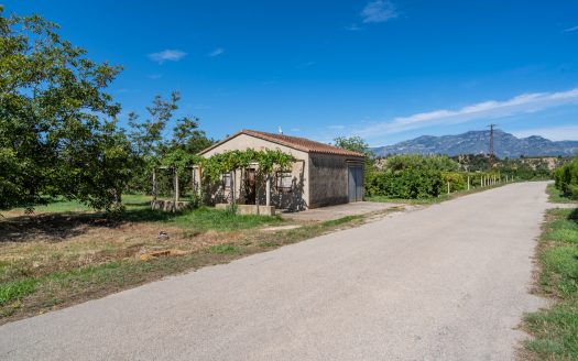 Finca de frutales cerca de Tortosa (553)