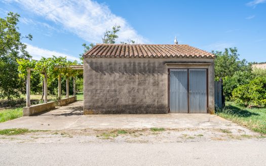 Finca de frutales cerca de Tortosa (553)