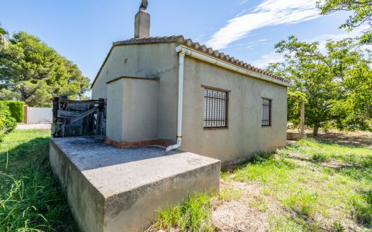 Finca de frutales cerca de Tortosa (553)