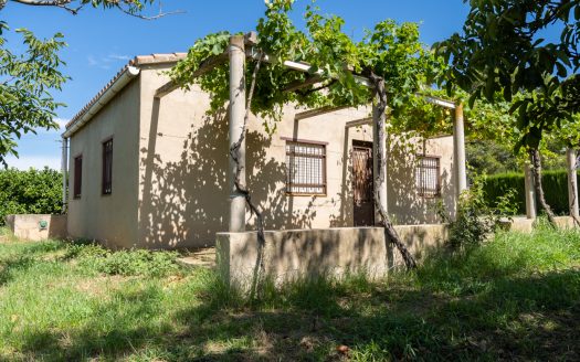 Finca de frutales cerca de Tortosa (553)