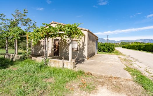 Finca de frutales cerca de Tortosa (553)