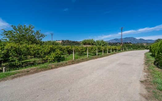 Finca de frutales cerca de Tortosa (553)