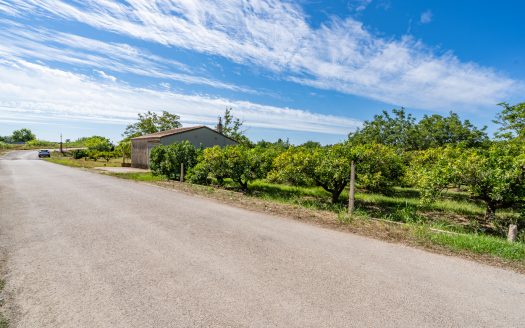 Finca de frutales cerca de Tortosa (553)