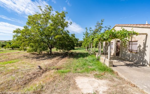 Finca de frutales cerca de Tortosa (553)