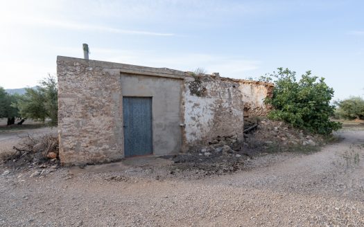 Finca d’oliveres amb bon accés (573)