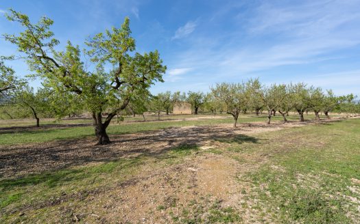 Cerca de la población con agua (588)