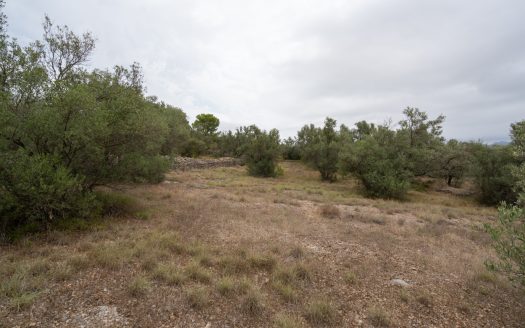 Flat piece of land next to the canal (591)