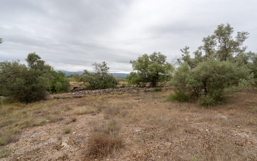 Flat piece of land next to the canal (591)