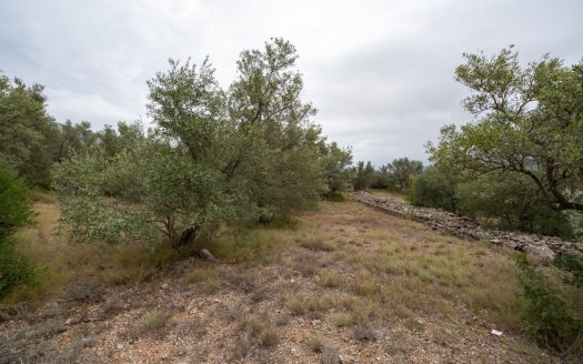 Flat piece of land next to the canal (591)