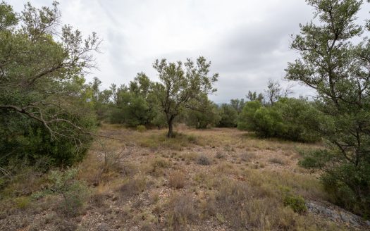 Flat piece of land next to the canal (591)