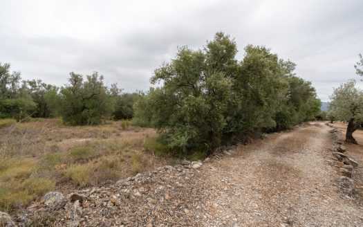 Flat piece of land next to the canal (591)