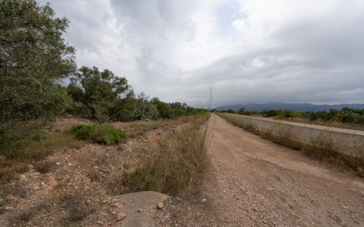 Flat piece of land next to the canal (591)