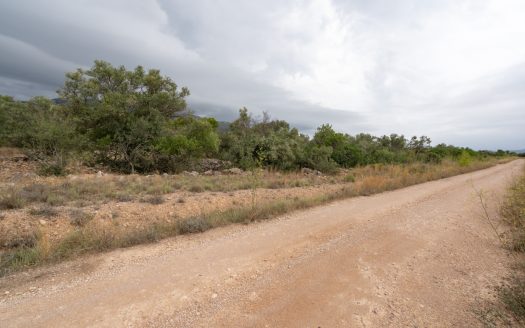 Flat piece of land next to the canal (591)