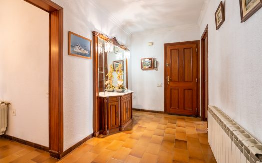 Spacious flat in La Rapita (594)