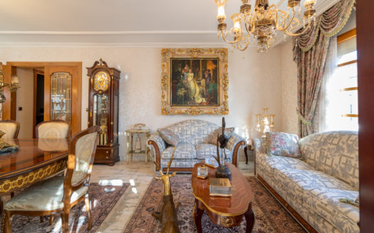 Sumptuous town house (632)