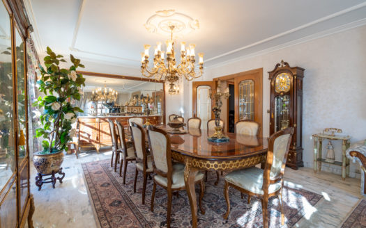 Sumptuous town house (632)