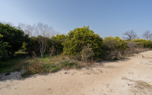 Masía para restaurar al lado del río (640)