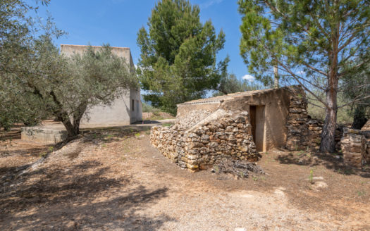 Country house with electricity and water (683)