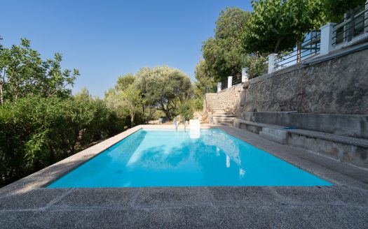 Villa with a swimming pool (725)