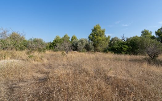 A fenced piece of land with water (731)