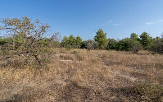 A fenced piece of land with water (731)