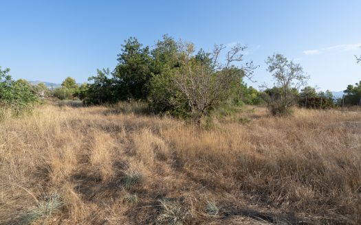 A fenced piece of land with water (731)