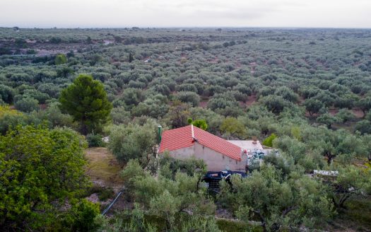 La essència de la naturalesa (759)