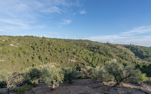 Una finca amb pendent pronunciada (768)