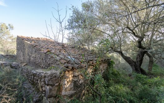 Una finca con pendiente pronunciada (768)