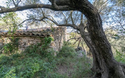 A property on a slope (768)