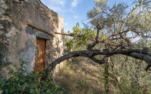 A property on a slope (768)